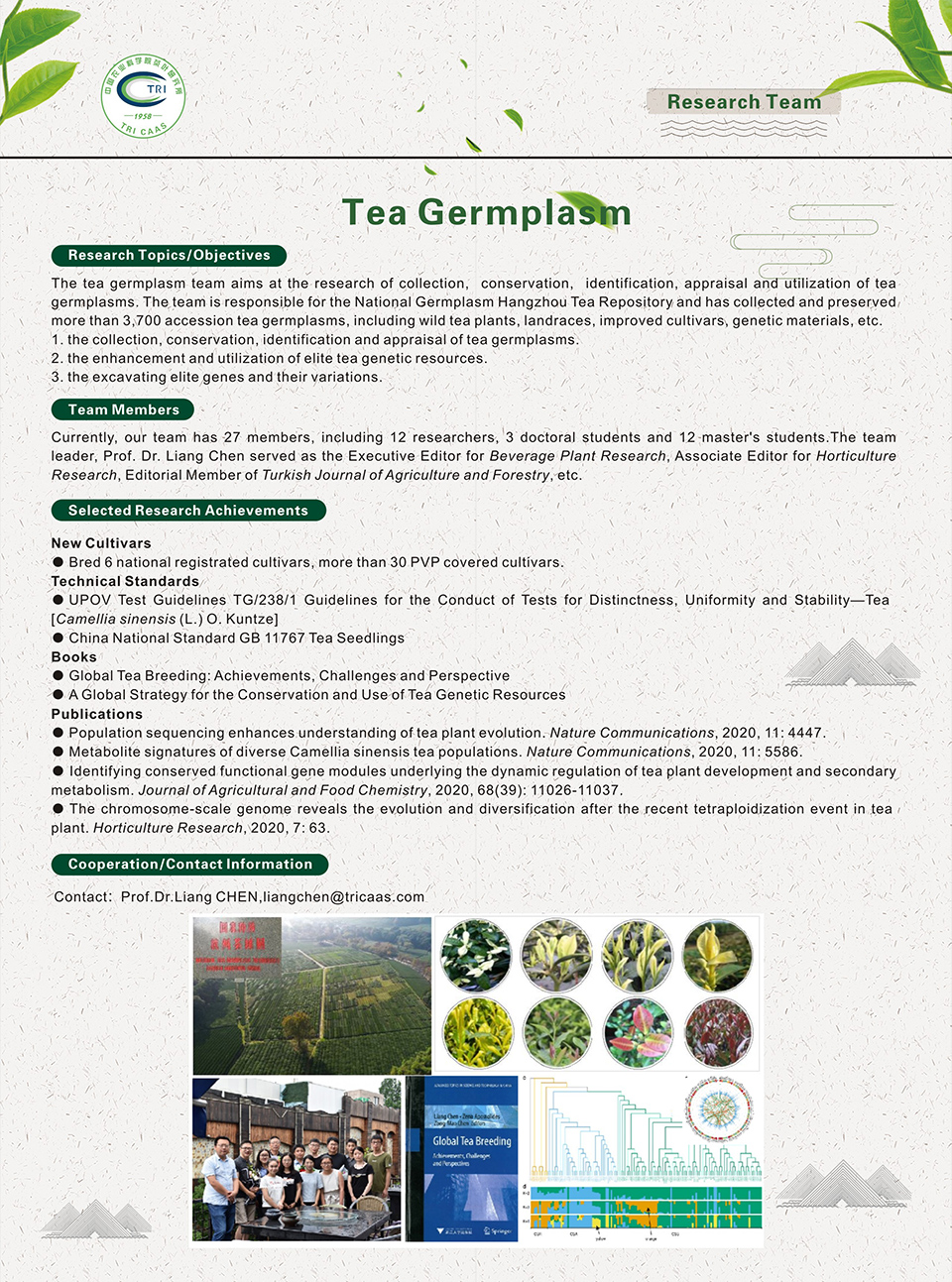 1-Tea Germplasm.jpg