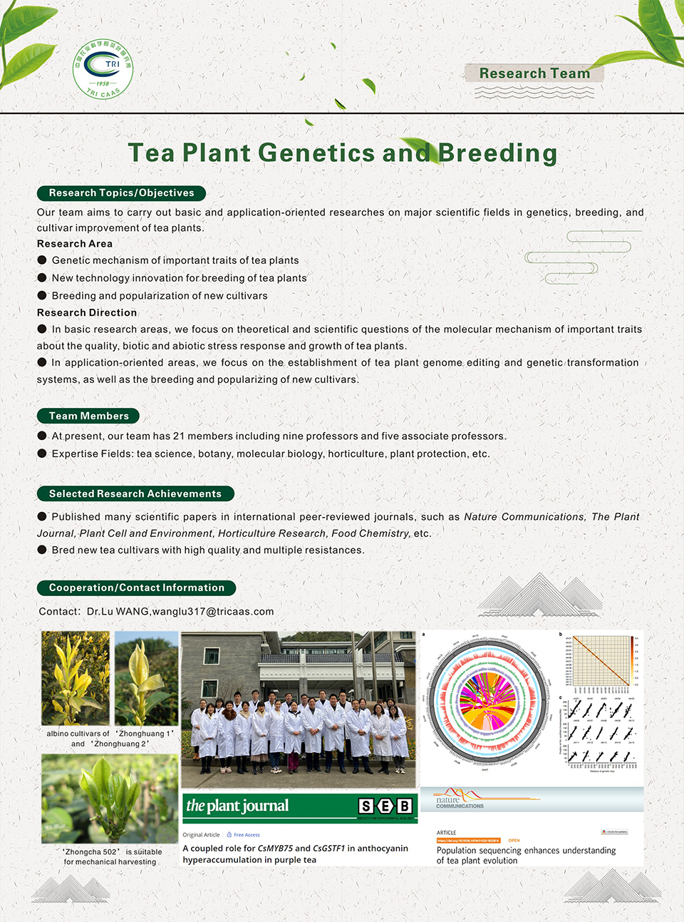 2-Tea Plant Genetics and Breeding.jpg