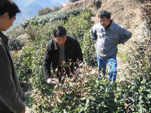 专家现场技术指导